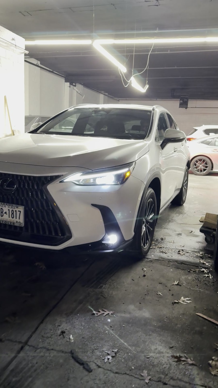 White Lexus NX polished and staged for pickup after paint correction at Exclusive Collision & Repair in Brooklyn, NY